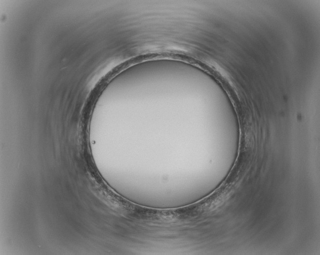 X0000060800975200511241906