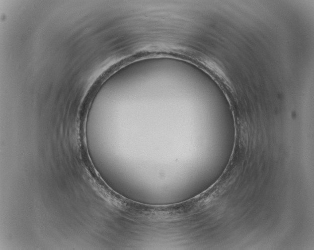 X0000060800976200511241906