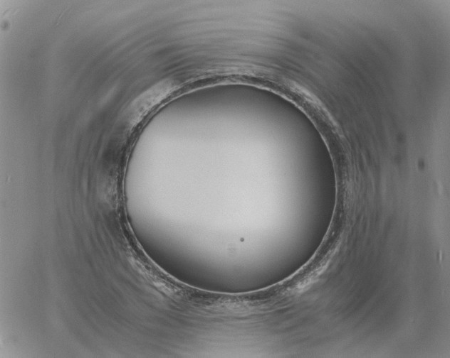 X0000060800977200511241906