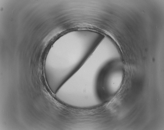 X0000060800979200511241906