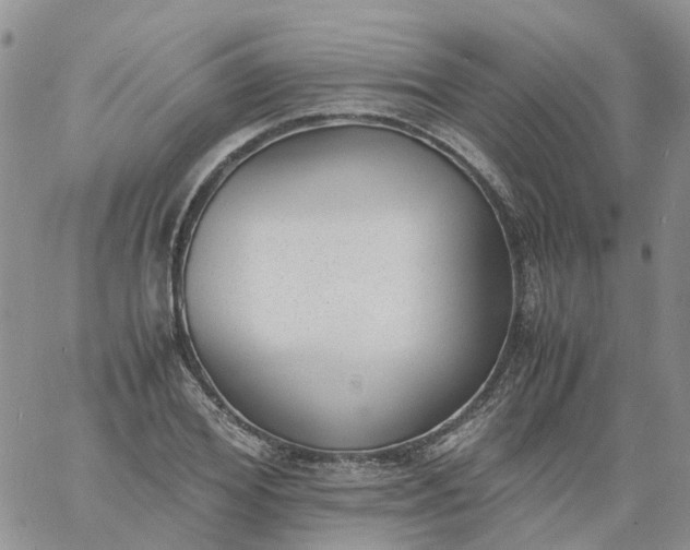 X0000060800980200511241906