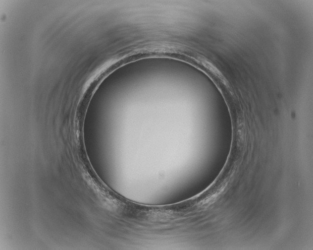 X0000060800981200511241906