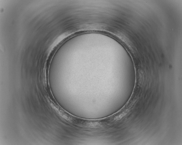 X0000060800982200511241906