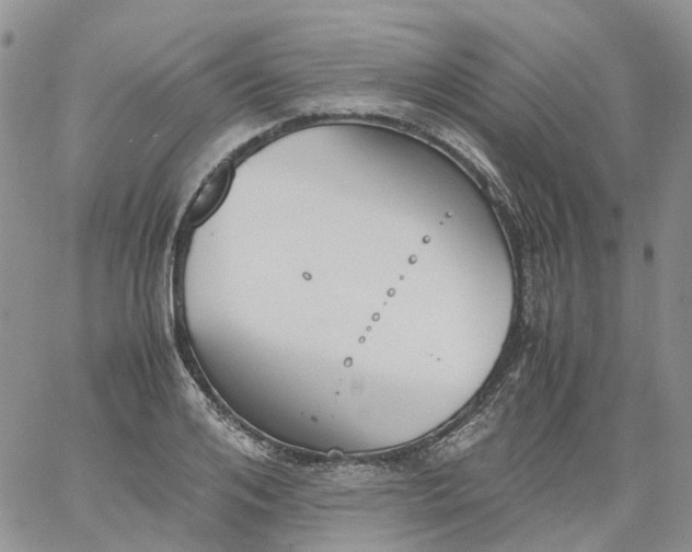 X0000060800984200511241906