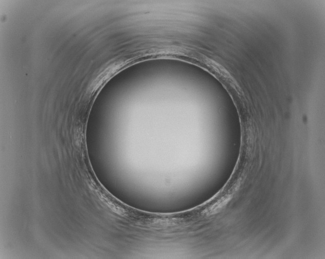 X0000060800985200511241906