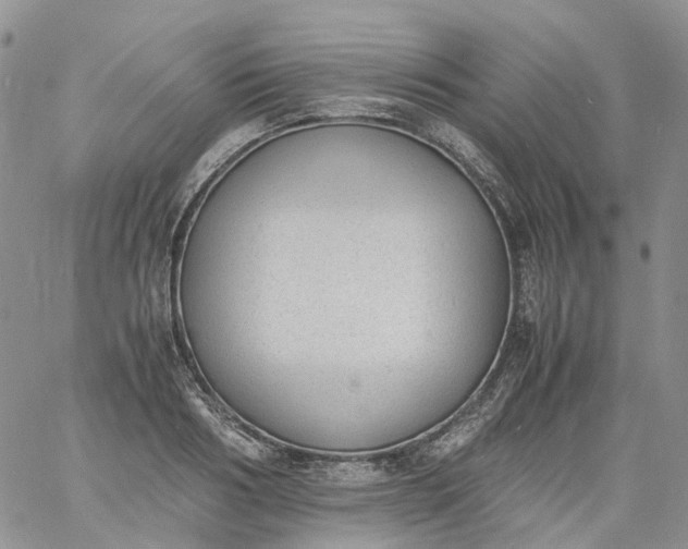 X0000060800986200511241906