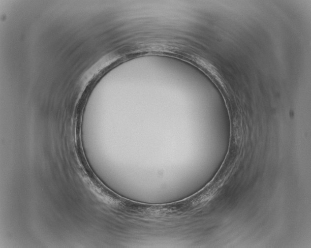 X0000060800987200511241906