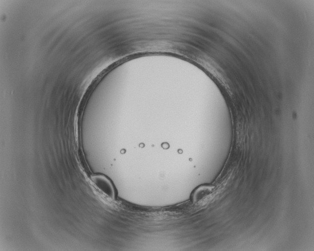 X0000060800988200511241906