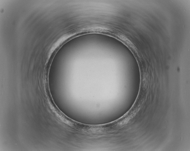 X0000060800989200511241906