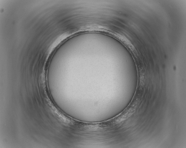 X0000060800990200511241906