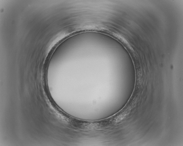 X0000060800991200511241906