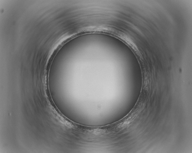 X0000060800992200511241906