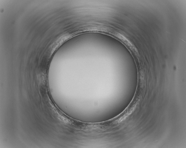 X0000060800993200511241906