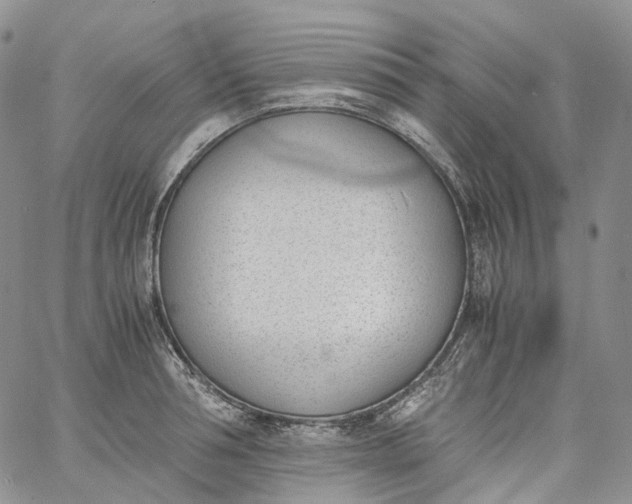 X0000060800994200511241906