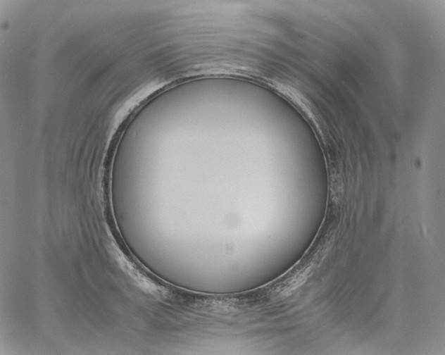 X0000060800995200511241906