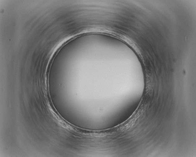 X0000060800996200511241906