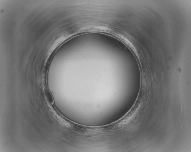 X0000060800997200511241906