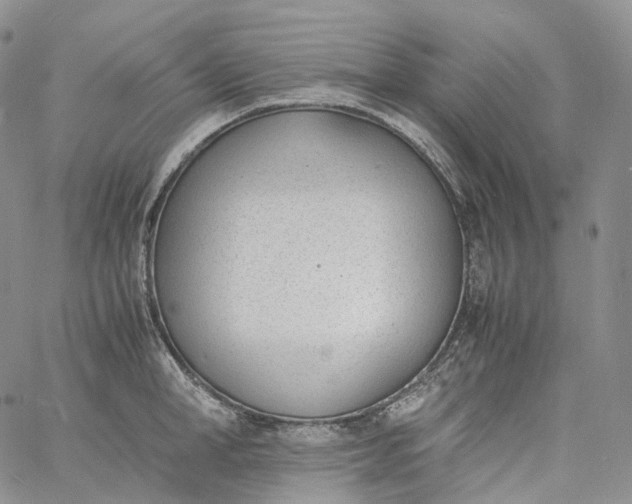 X0000060800998200511241906