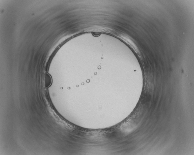 X0000060801000200511241905