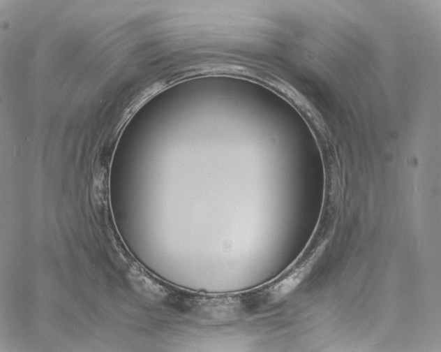 X0000060801001200511241905