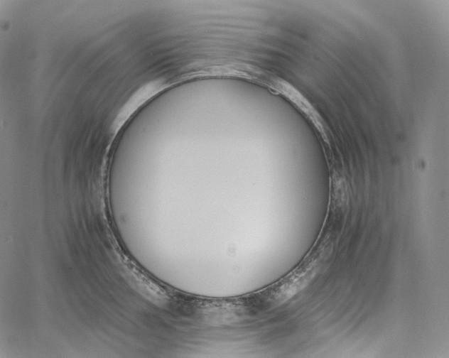 X0000060801002200511241905