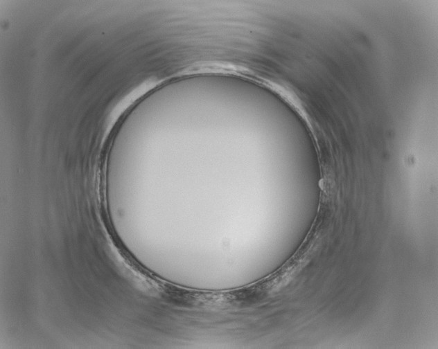 X0000060801003200511241905