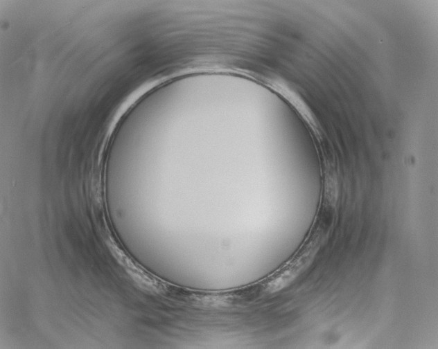 X0000060801004200511241905