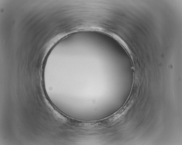 X0000060801005200511241905