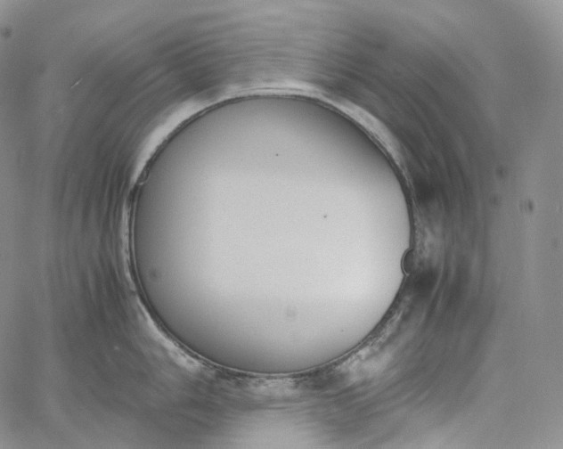 X0000060801006200511241905