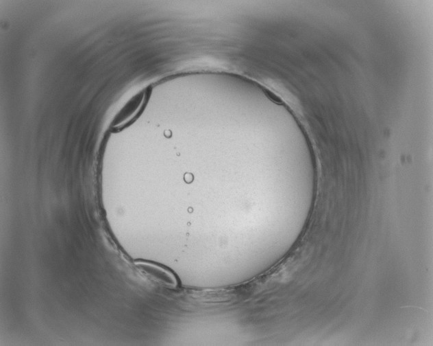 X0000060801008200511241905