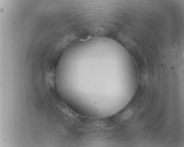 X0000060801010200511241905