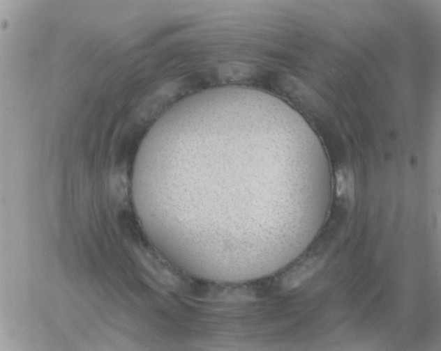 X0000060801011200511241905