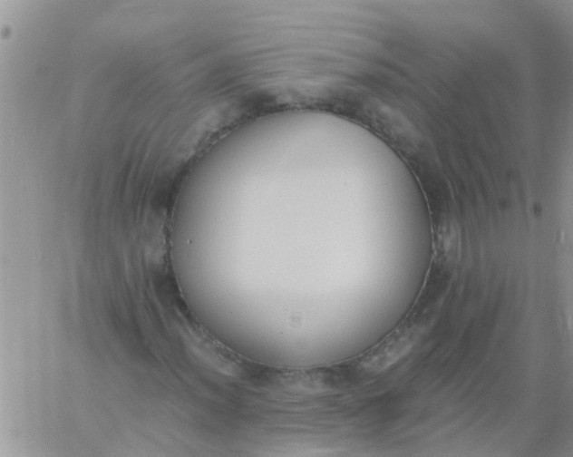 X0000060801012200511241905