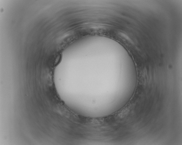 X0000060801013200511241905