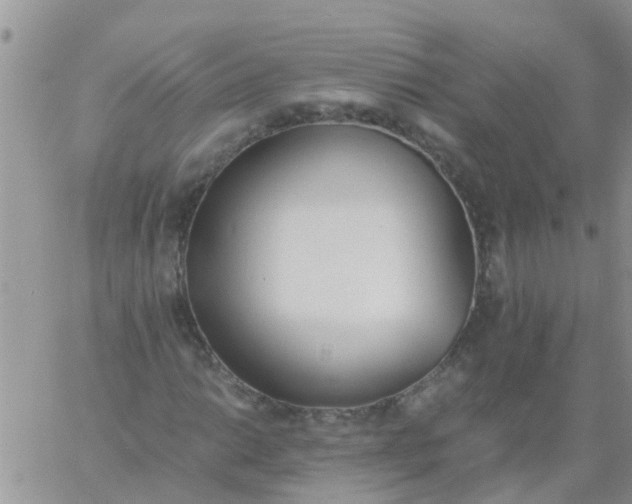 X0000060801014200511241905