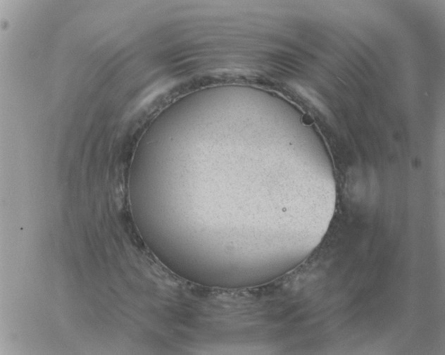 X0000060801015200511241905