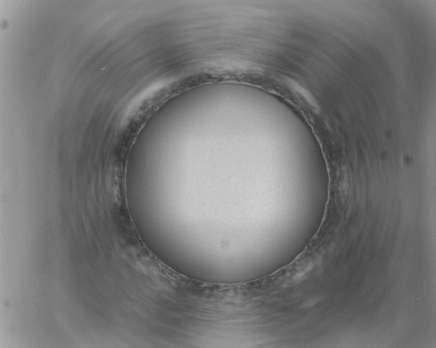 X0000060801016200511241905