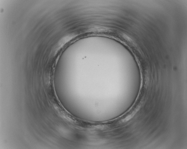 X0000060801017200511241905