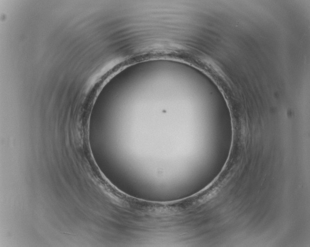 X0000060801018200511241905