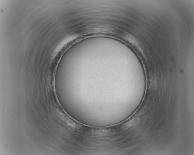 X0000060801019200511241905