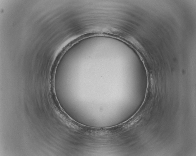 X0000060801020200511241905