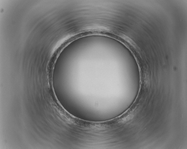 X0000060801022200511241905