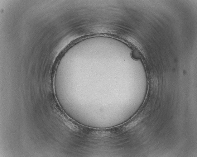 X0000060801023200511241905