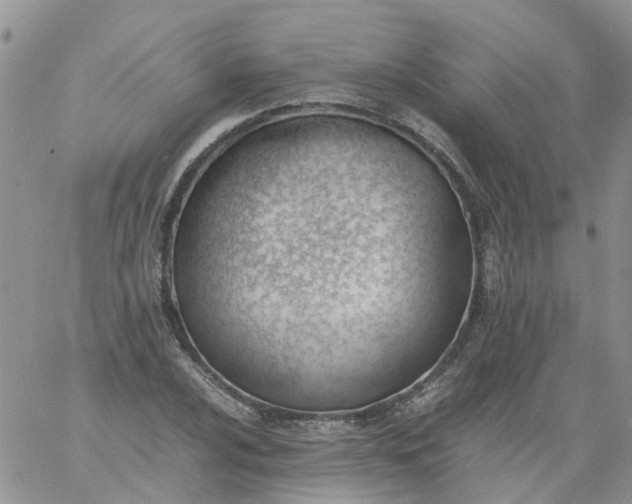 X0000060801024200511241905