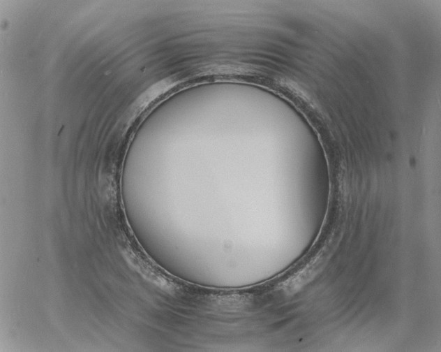 X0000060801025200511241905