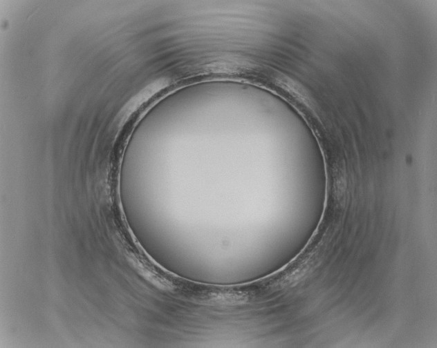 X0000060801026200511241905