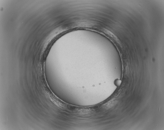 X0000060801027200511241905