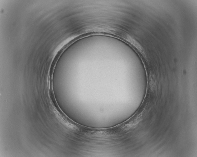 X0000060801028200511241905