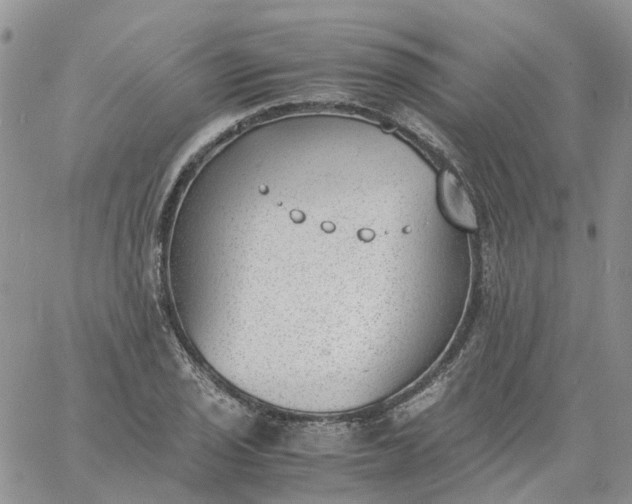 X0000060801029200511241905