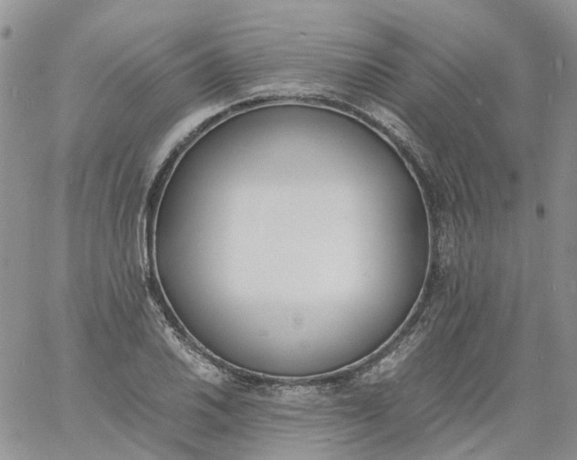 X0000060801030200511241905